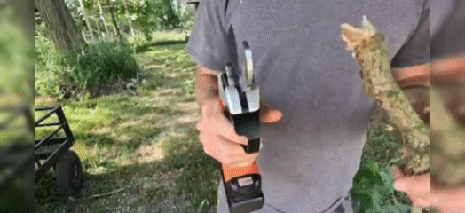 1701650598409.gif